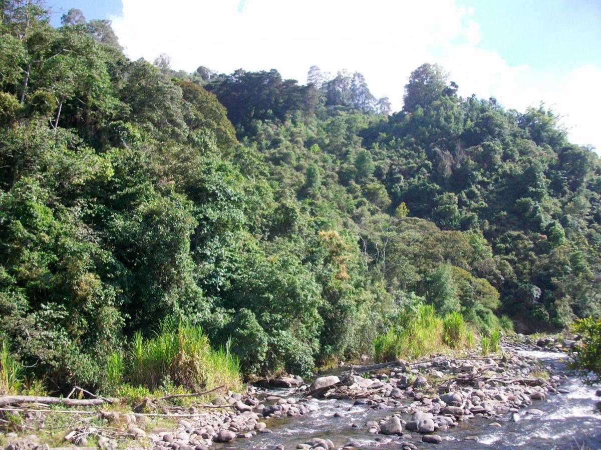 Kasaguadua - Reserva Natural 萨兰托 外观 照片