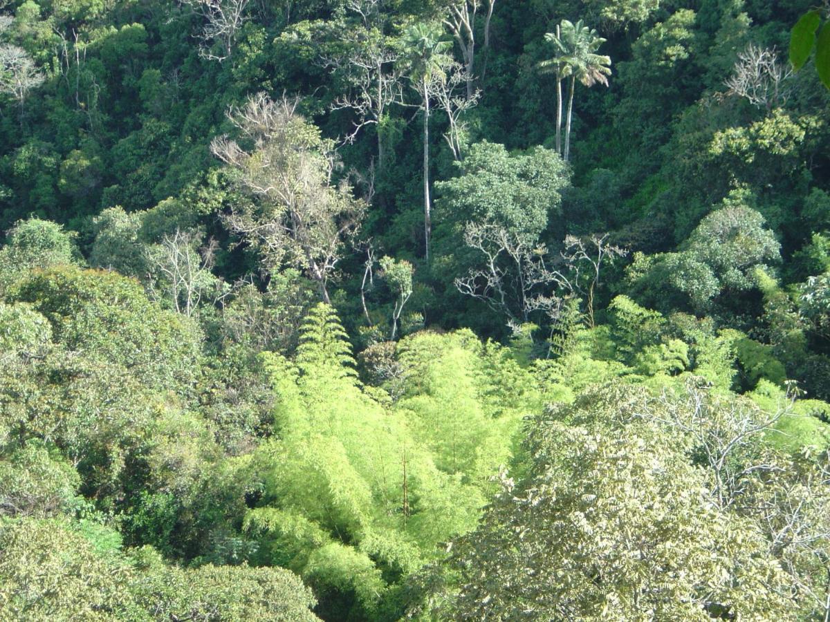 Kasaguadua - Reserva Natural 萨兰托 外观 照片